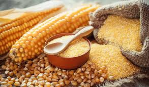 GF MAIZE GERM