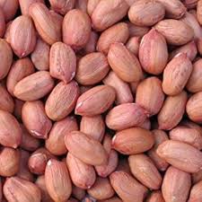 GROUNDNUTS