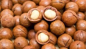 MACADAMIA