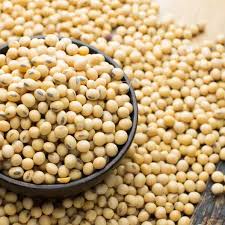 SOYA BEAN DOC